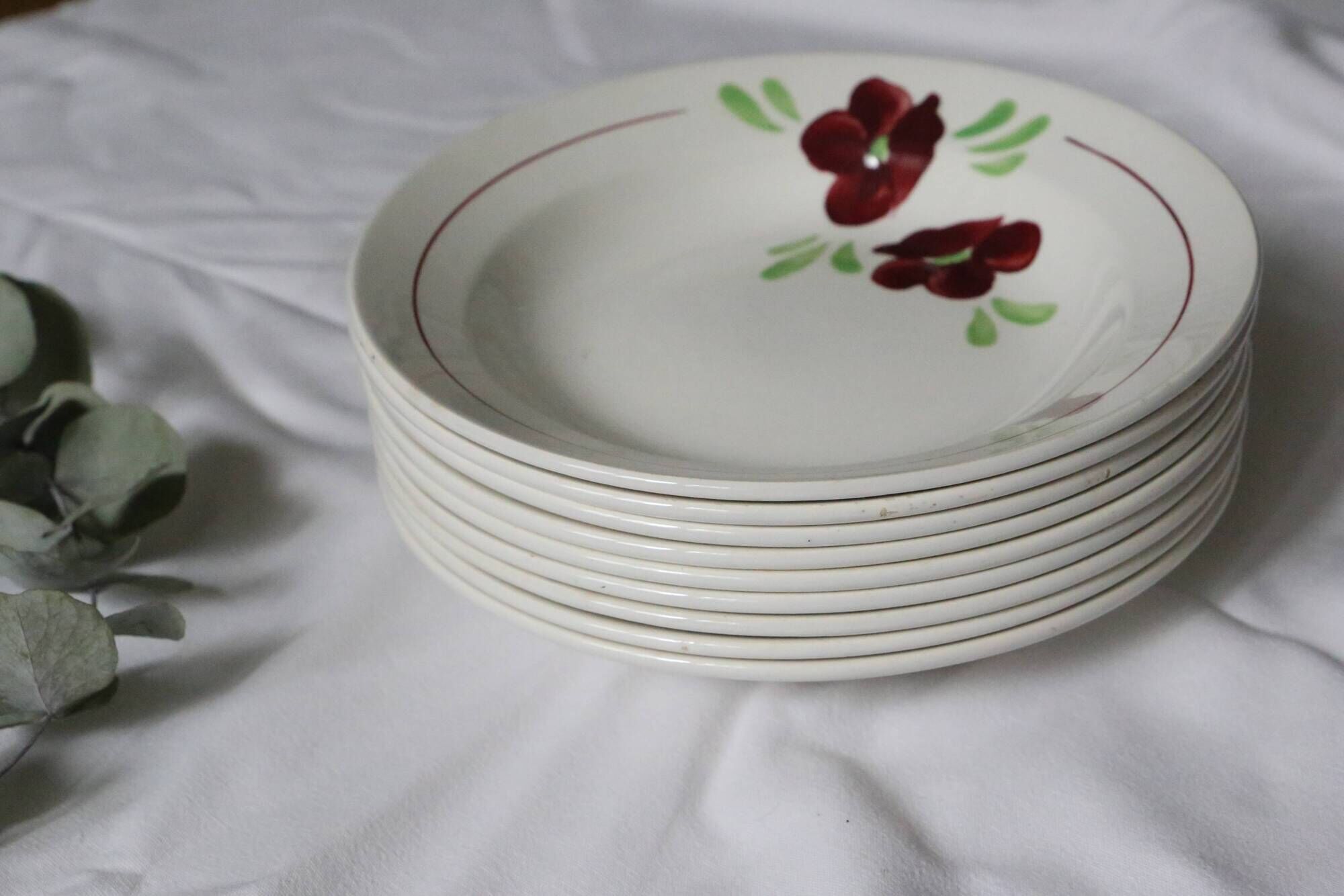 Set of 9 Salins hollow plates, Ninon pattern, French vintage, authentic, rare, countryside