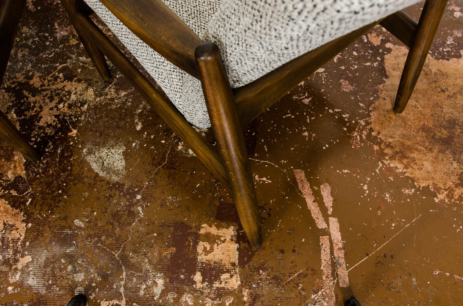 Paire de fauteuils Gfm 64 par Edmund Homa