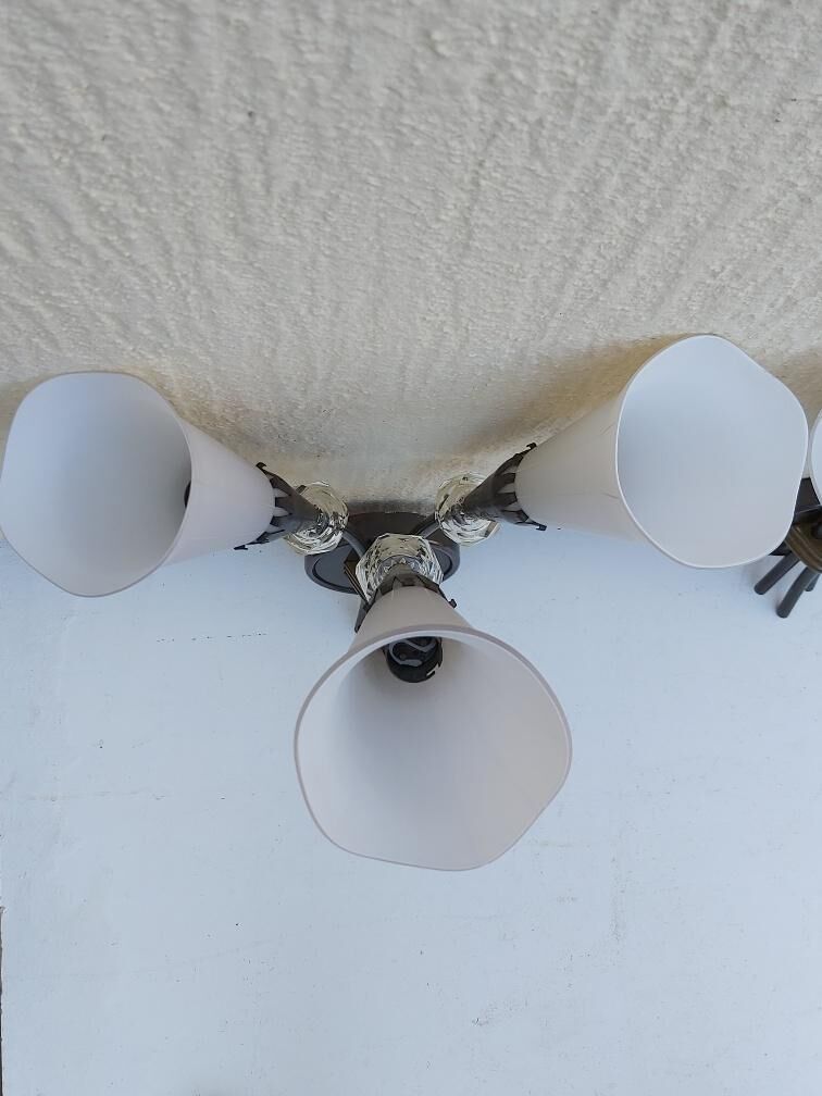 Pair of arum sconces edition Lunel Paris 50s