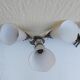 Pair of arum sconces edition Lunel Paris 50s