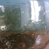 Biot bubble glass salad bowl