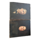 2 old oil portraits on panel 1800's