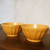 Duo of rib bowls in faience