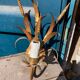 Pair of gold metal sconces decorated with wheat cob