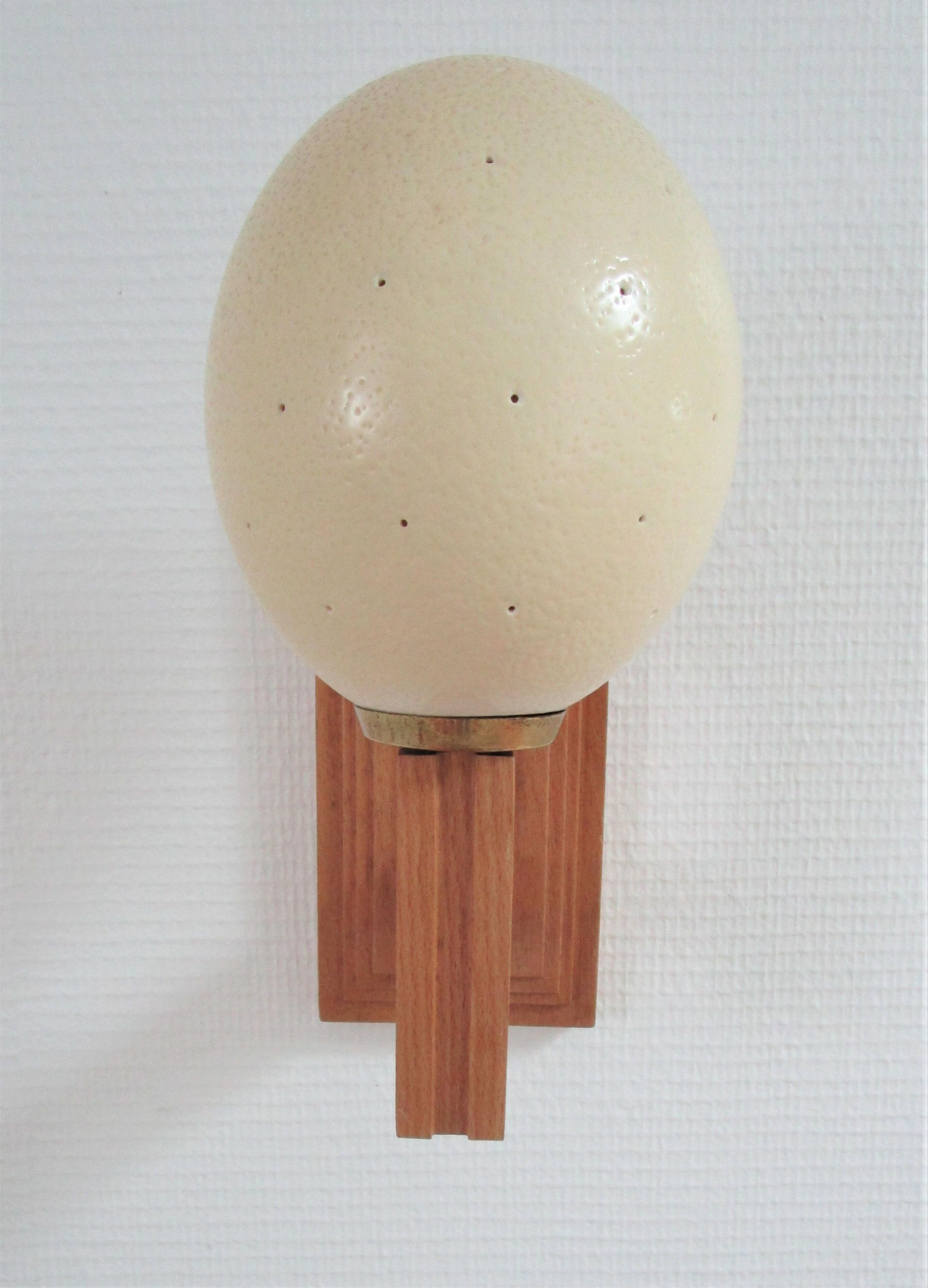 Ostrich egg wall lamp and vintage wood
