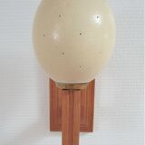 Ostrich egg wall lamp and vintage wood