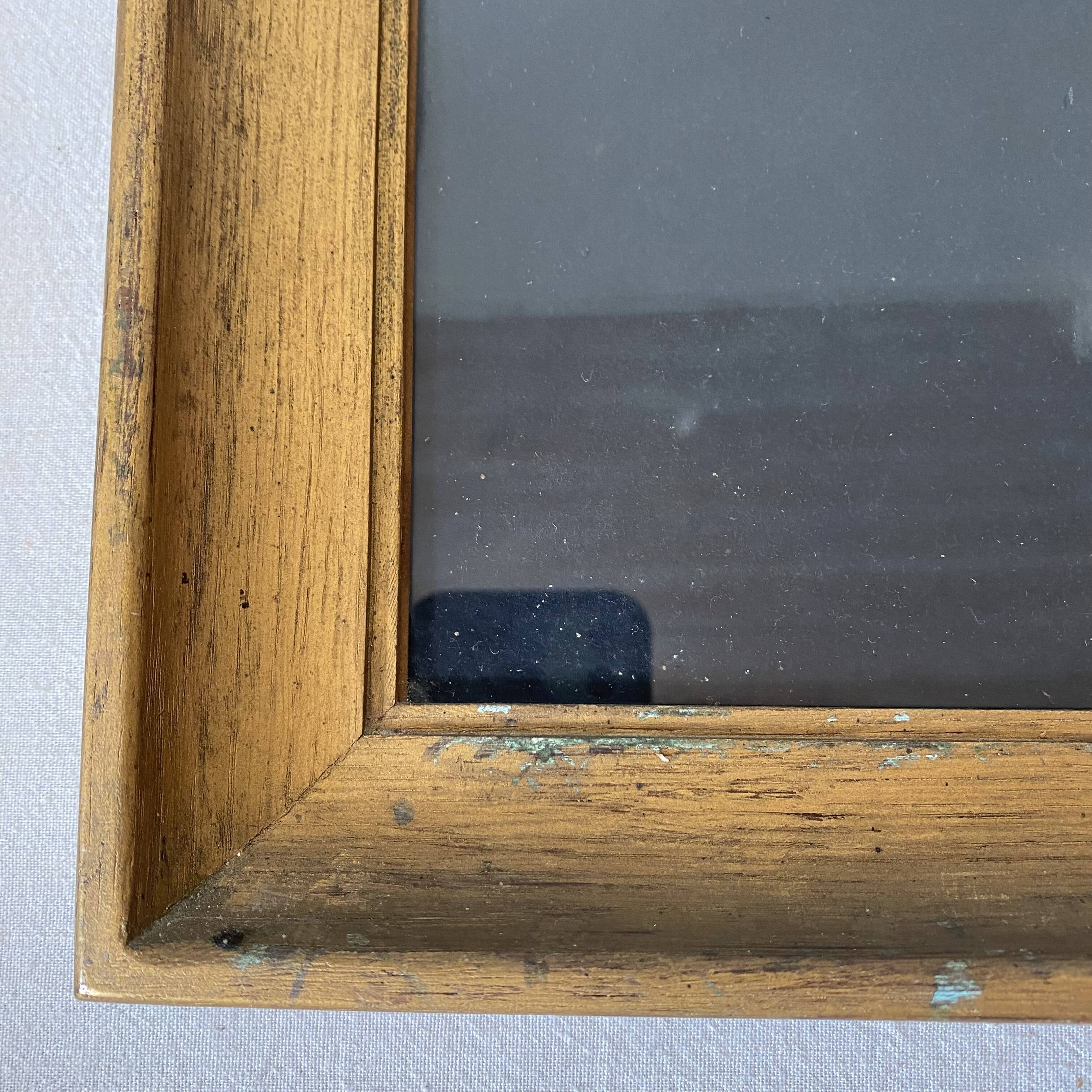 Framed pastel English Springer Spaniel dog