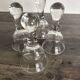 Set of 4 Glass Goblets or Glass Domes