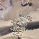 Antique Decorative Caviar Dish Caviar Serving, Silver Quadruple Plate Lid, Spoon
