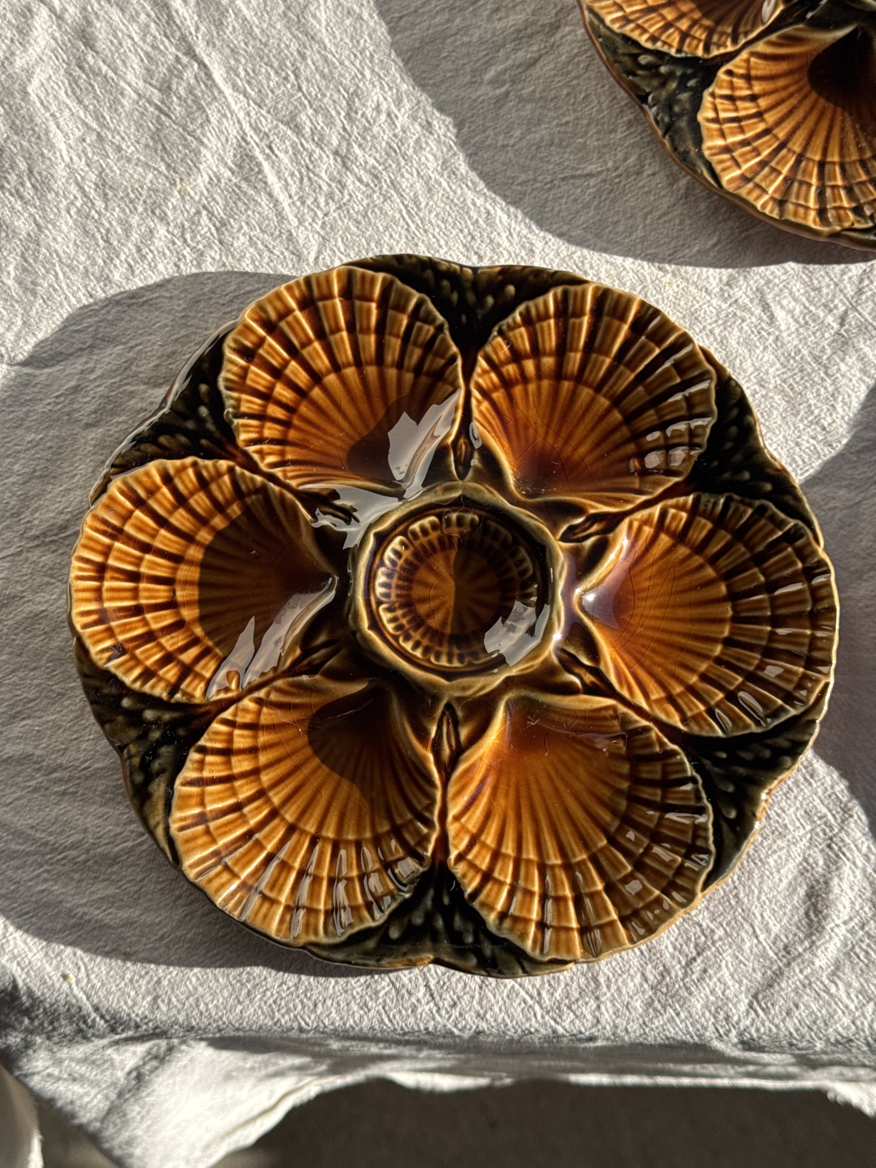 Set of 12 oyster or shell plates in glazed brown ceramic D