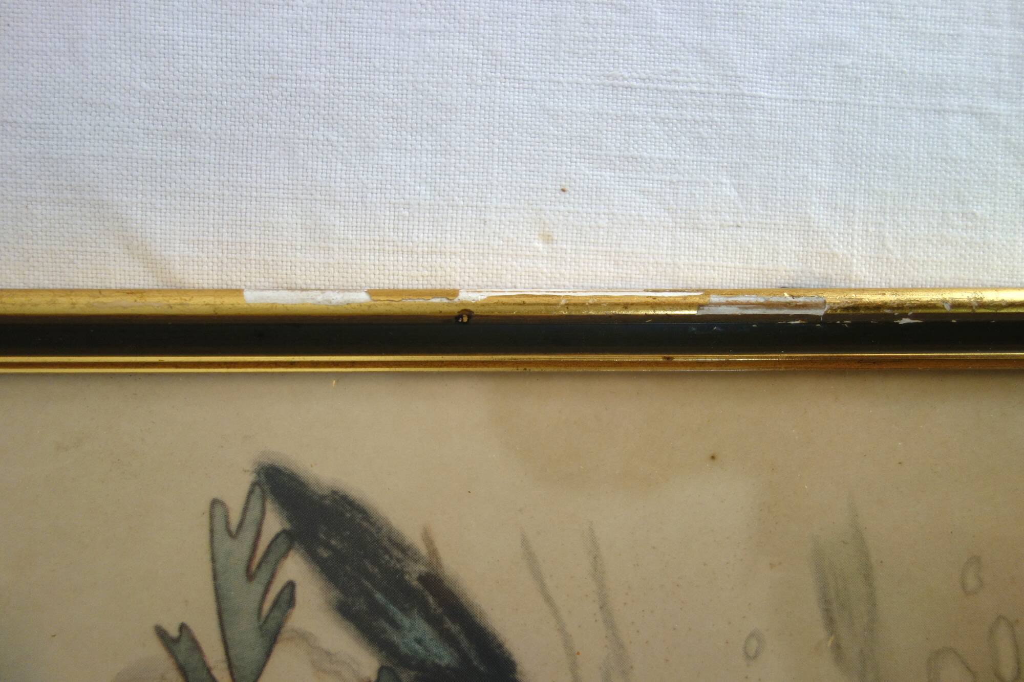 3 framed bird lithographs