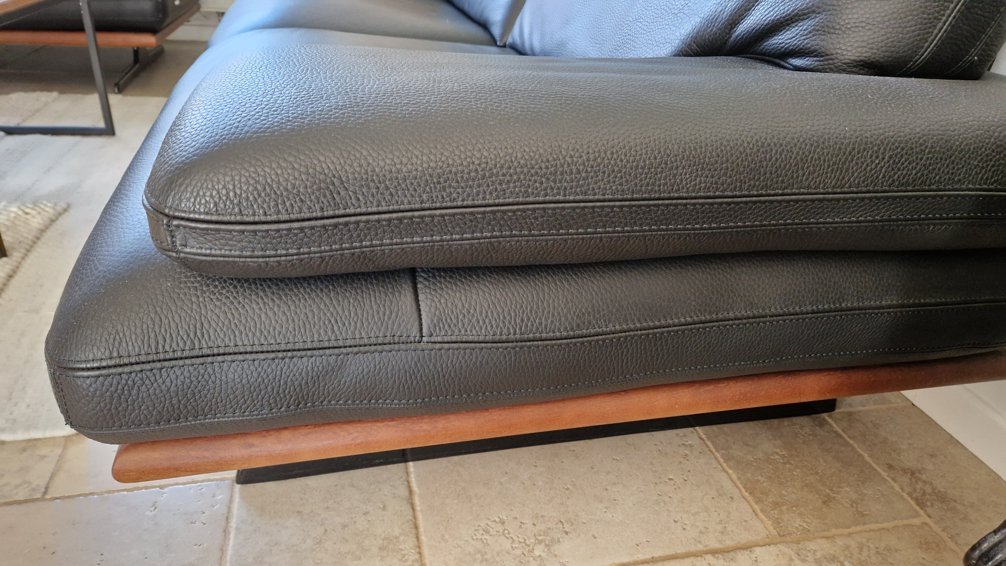 Roche Bobois Wingspan Sofa