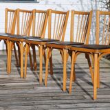 10 baumann chairs no. 12 black faux leather light beech