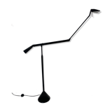 Zelig Terra Floor Lamp by Walter Monici for Lumina, 1980s