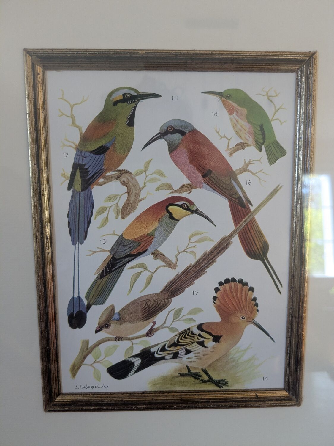 Lithographic frame of birds