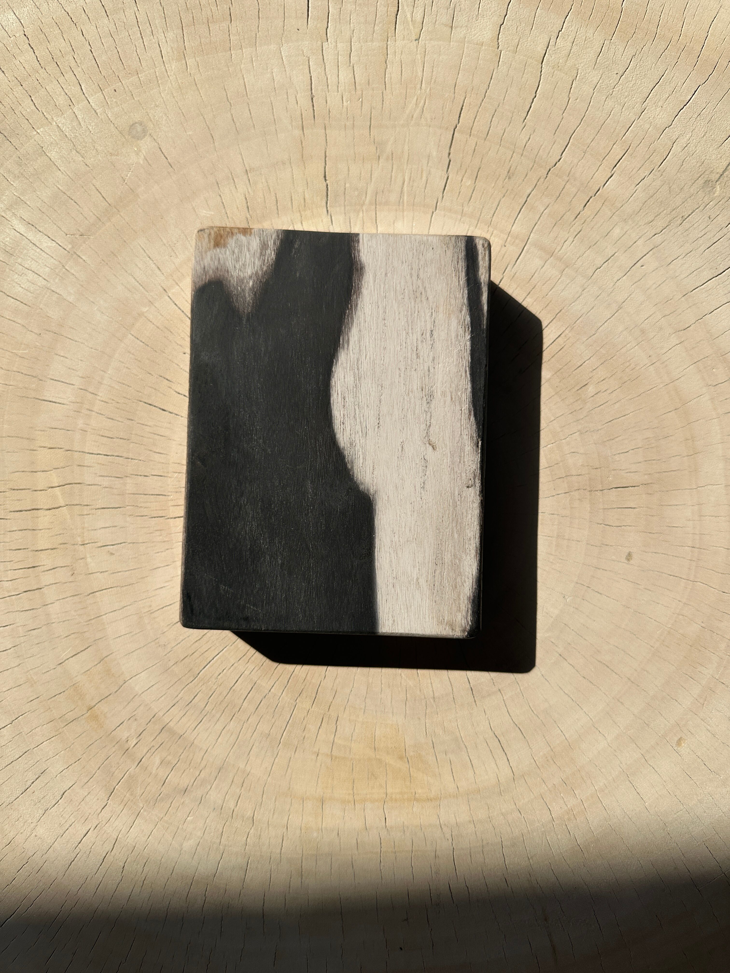 Symmetrical multicolored petrified wood soap dish