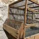 Cage à oiseaux bois ancienne
