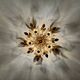 Floral Hollywood Regency Wall or Ceiling Lamp