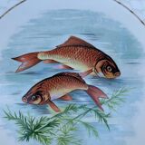 Service à poisson en Gien