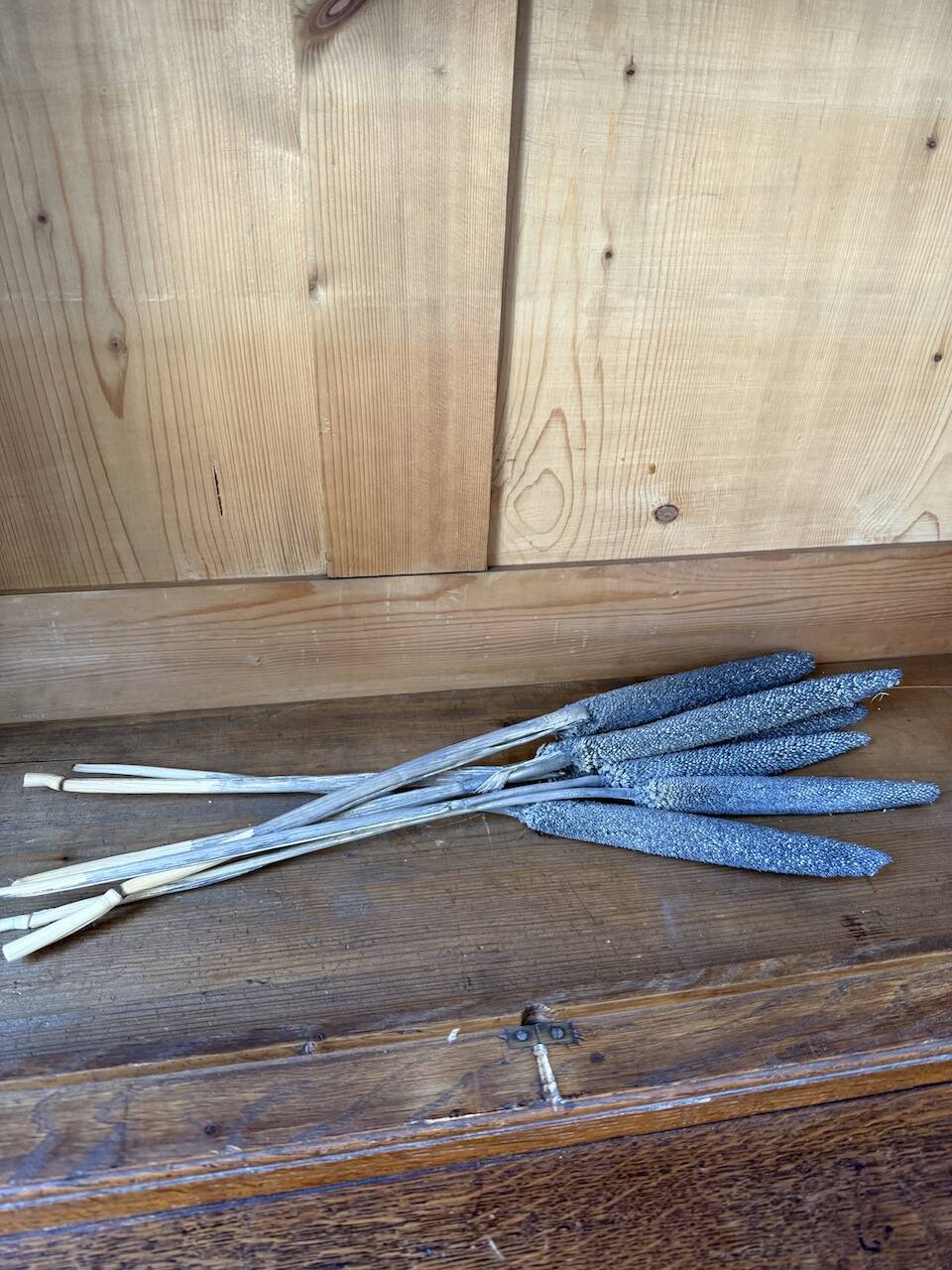 Antique XL Napoleonic oak glass bookcase, 19th century