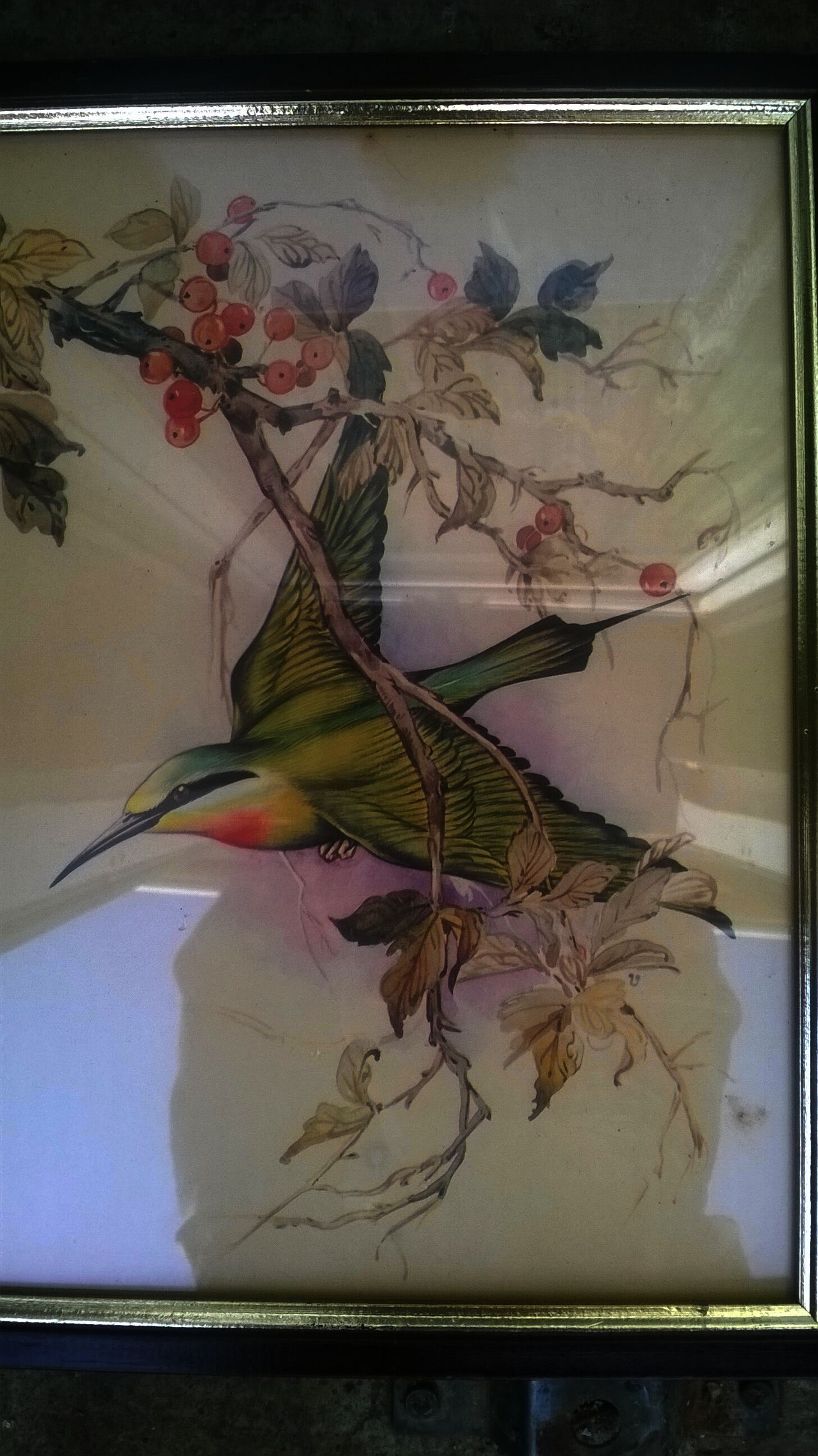 Paire de gravures "aux oiseaux"