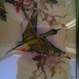 Paire de gravures "aux oiseaux"