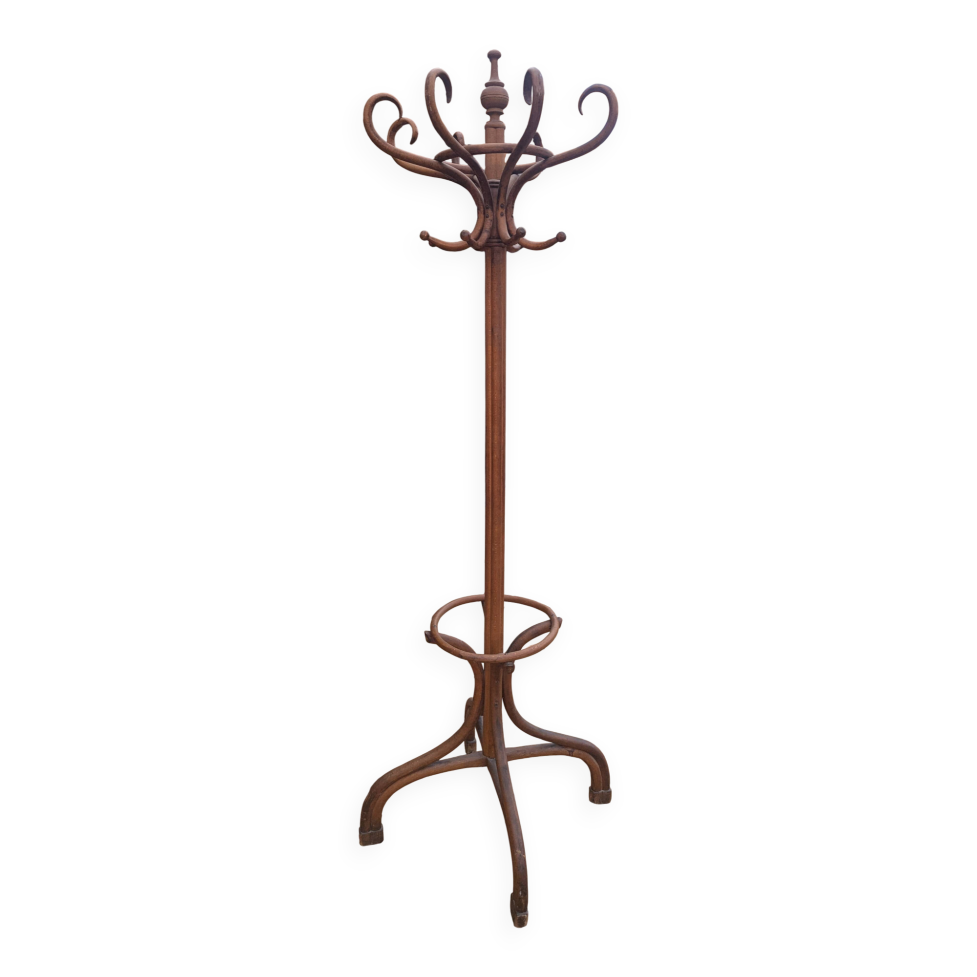 Porte manteau Perroquet en bois courbé