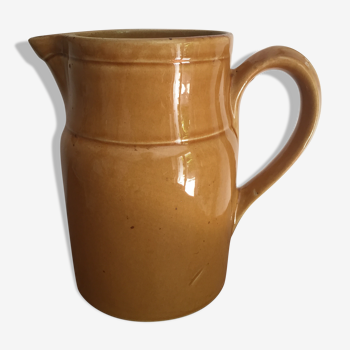 Camel pitcher