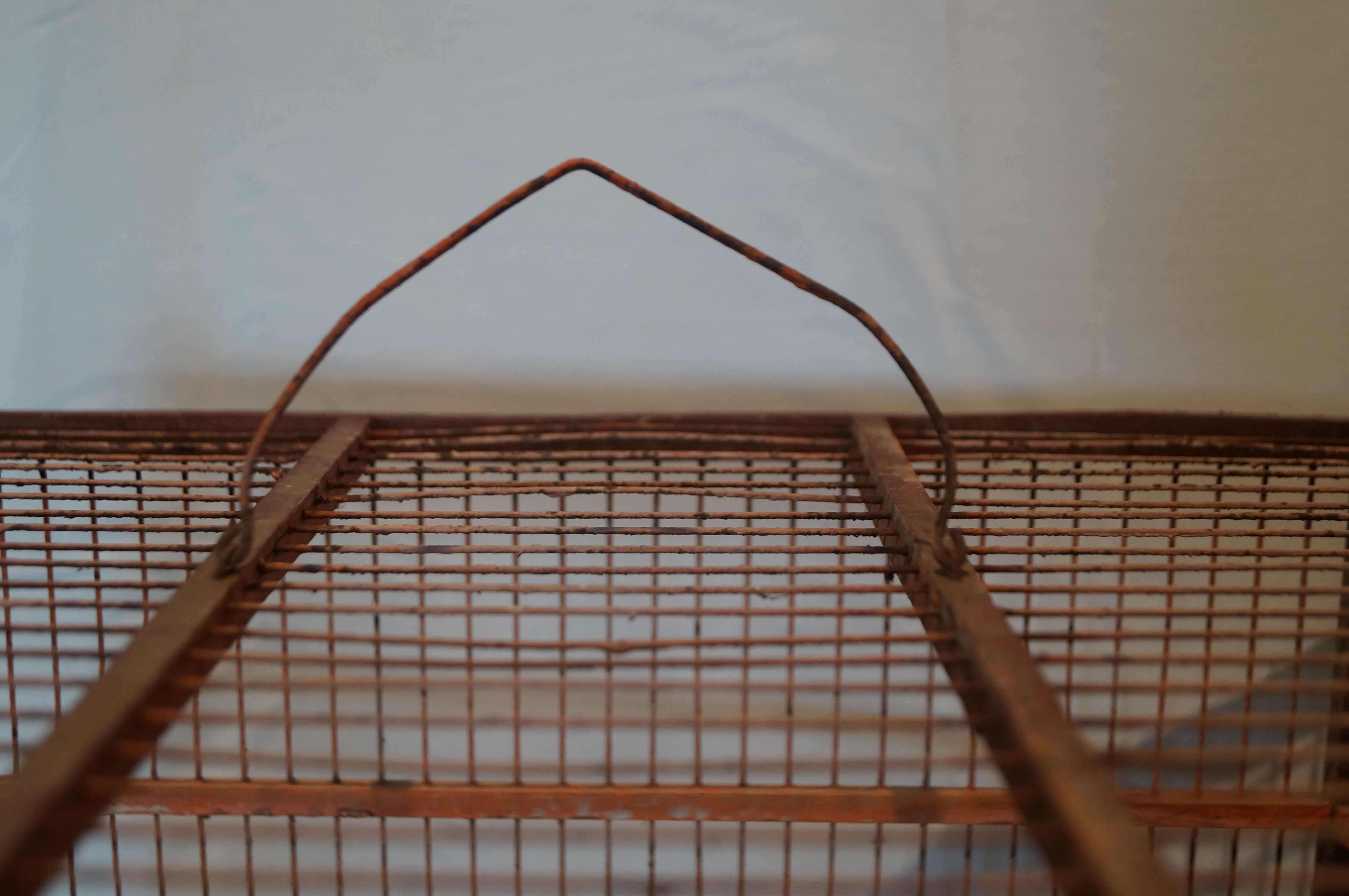 Cage à oiseaux