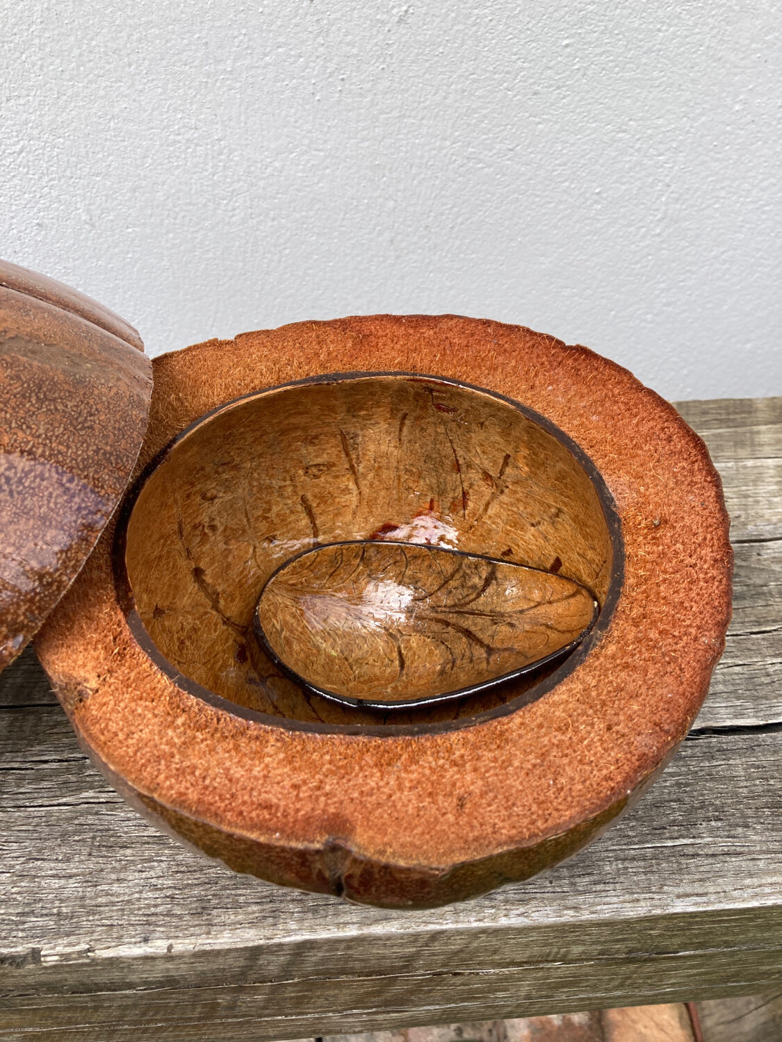 Exotic brutalist coconut ice bucket 1960
