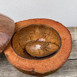 Exotic brutalist coconut ice bucket 1960