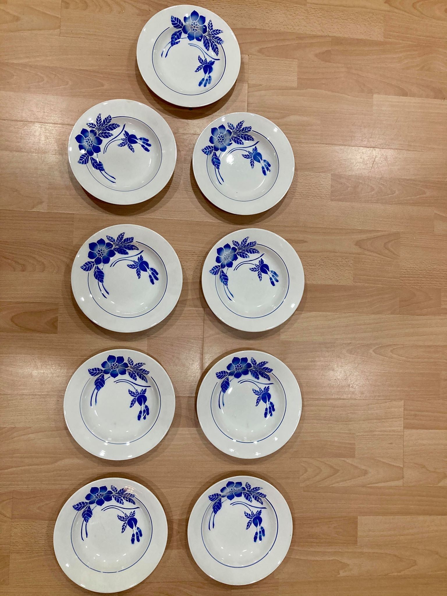 Lot of 9 hollow plates and dish Digoin Sarreguemines