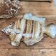 Wall-mounted ceramic fish