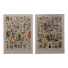 Original lithographs on flowers