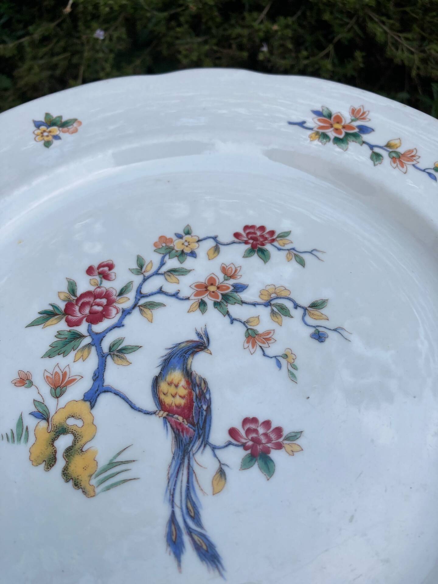 Flat plates with scalloped edges Sarreguemines bohemian chic