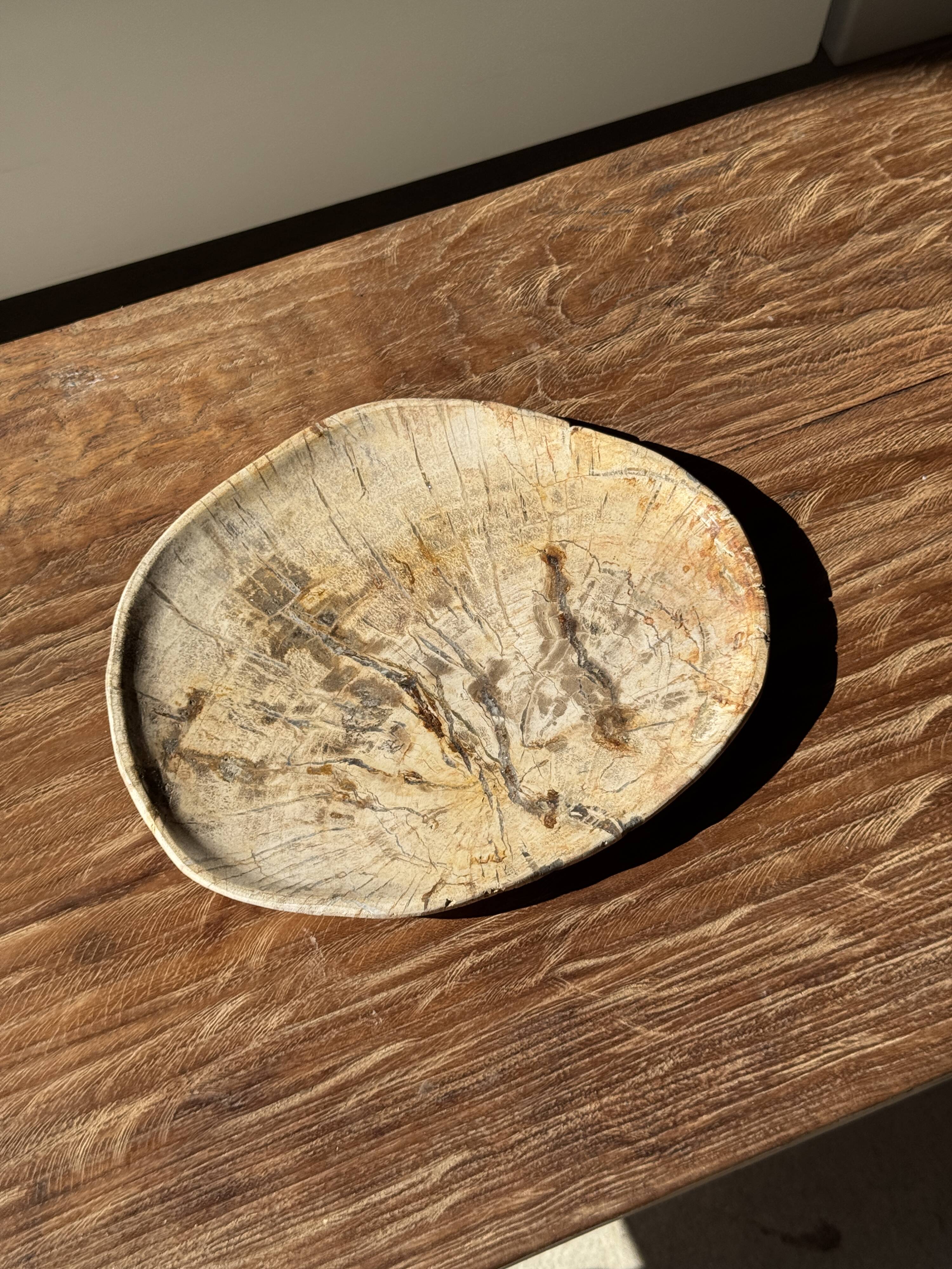 Small beige oval petrified wood dish or tray with crystals.