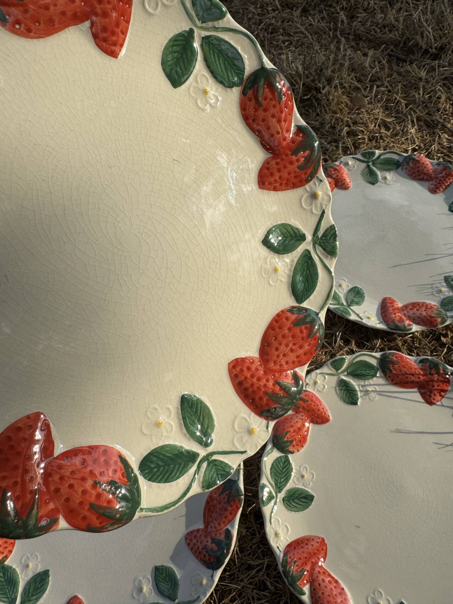 Longchamp antique strawberry barbotine plates
