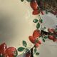 Longchamp antique strawberry barbotine plates