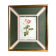 Old lithography botanical plate rose hundred sheets & golden frame vintage