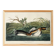Poster about the Red-billed Grebe, based on an old engraving from 1827.
