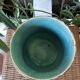 Cache pot barbotine