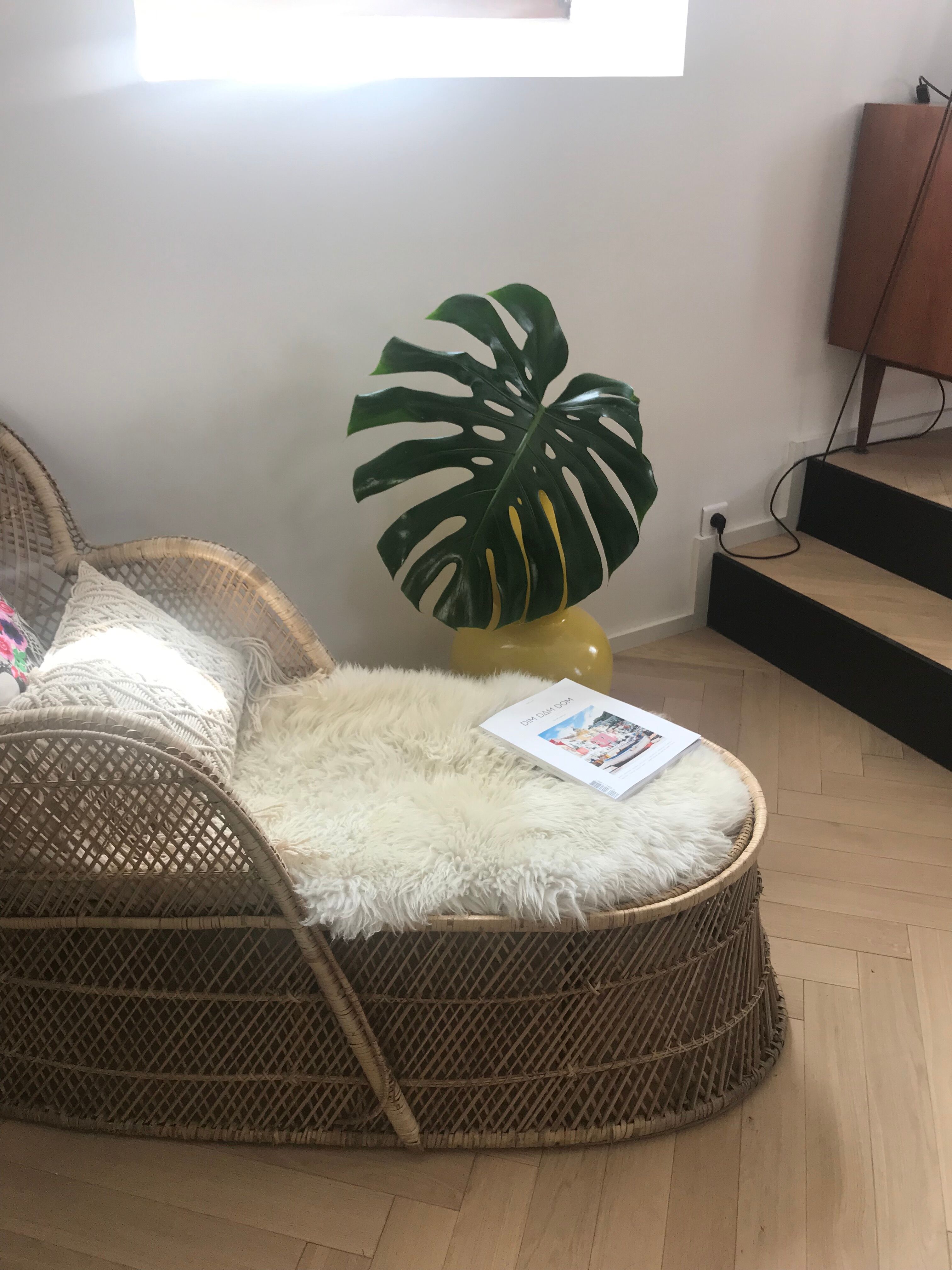 Merinian emmanuel  in rattan