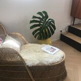 Merinian emmanuel  in rattan