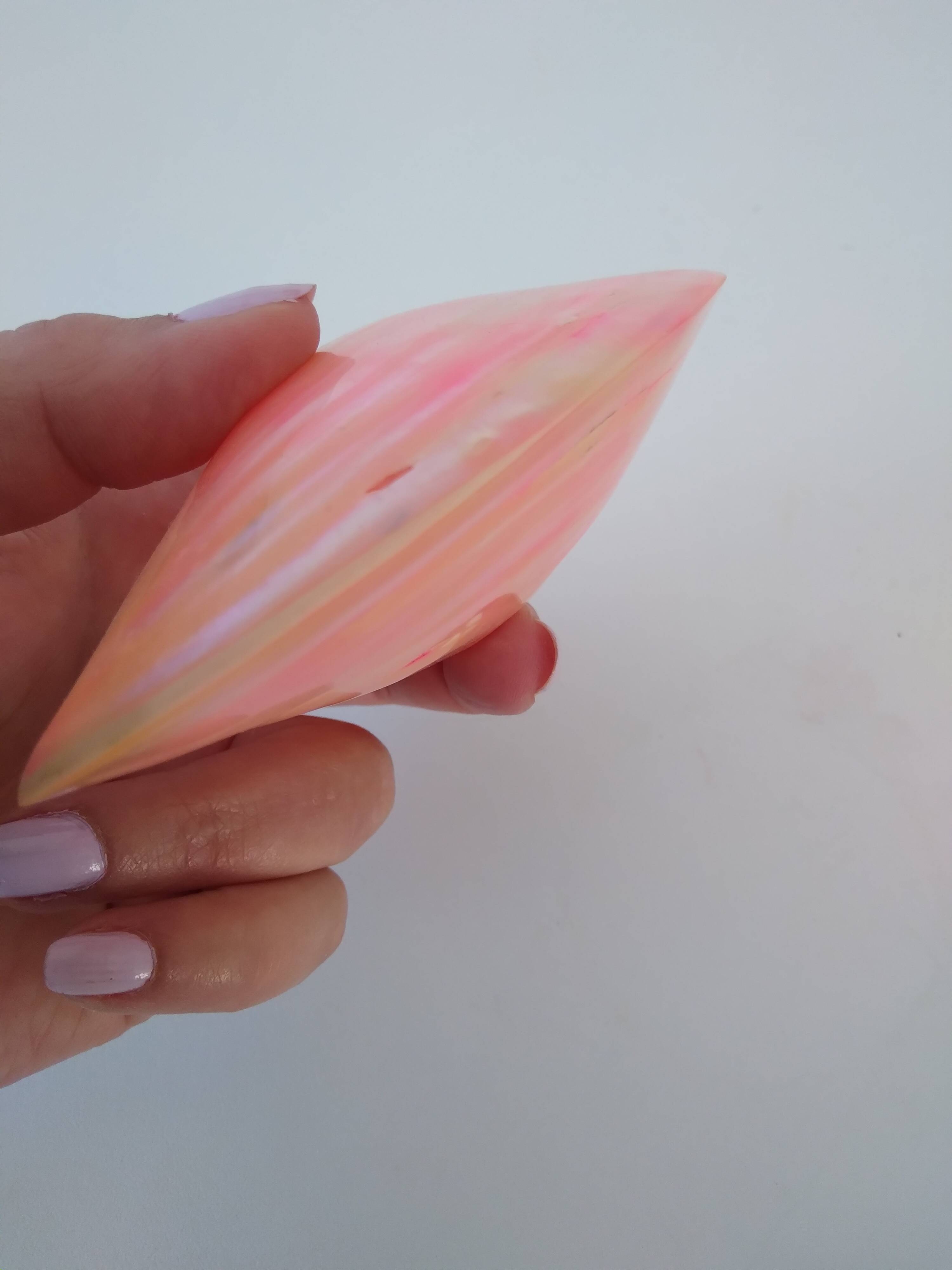 Pink mother-of-pearl Tellina shell