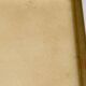 Lithographie rosier redoute Langlois Remond mousseux a fleurs blanches