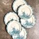 6 flat plates no. 4 Salins in iron earth, "Delft" service