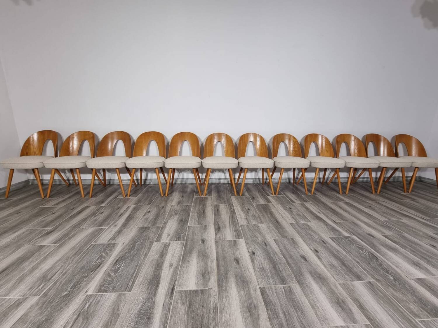 Dining Chairs from Antonin Suman, 1960s, Set of 12
