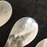Set of 4 spoons in mother-of-pearl and rosewood