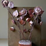 Sunflower structure – 1970s