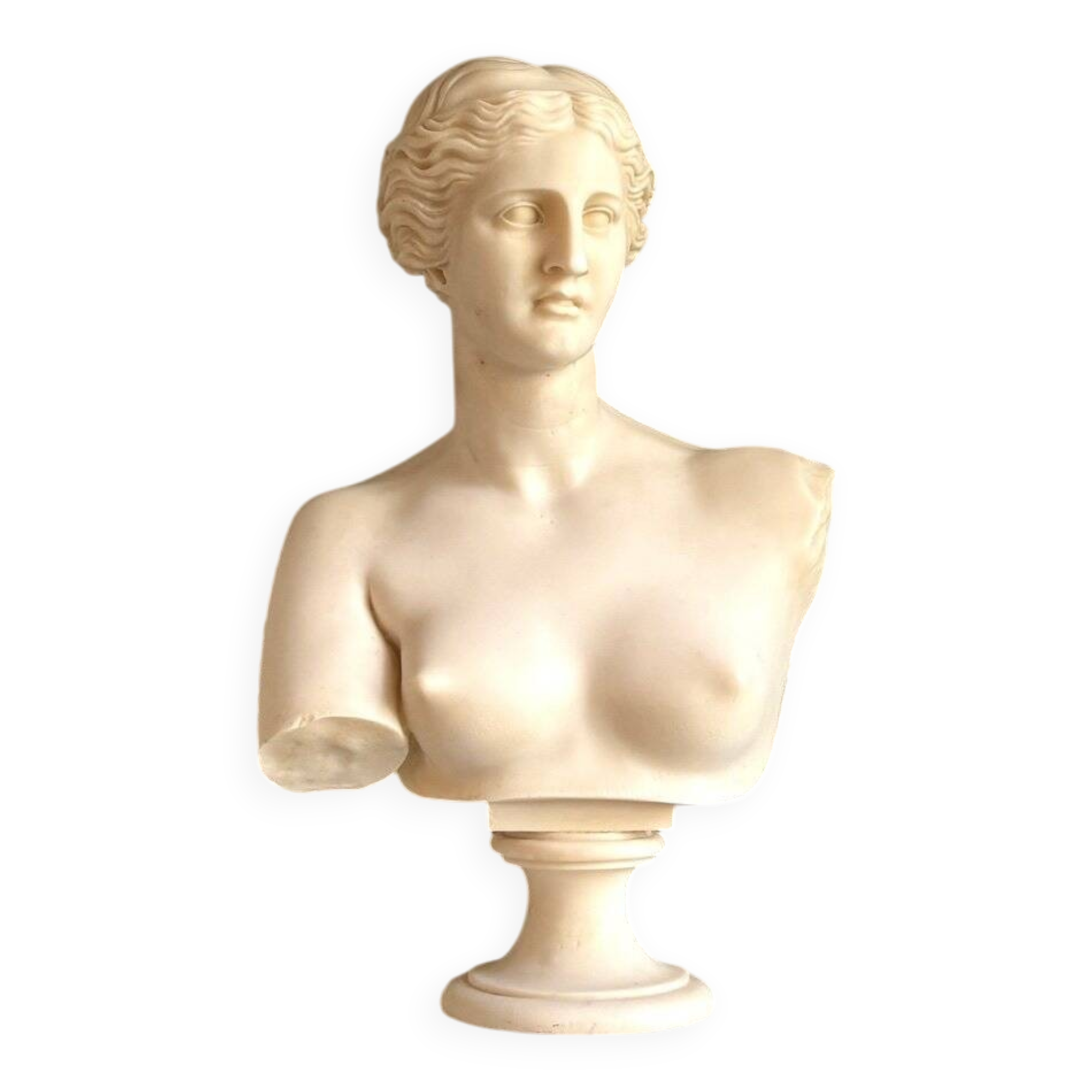 Bust of Venus on pedestal
